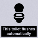 this-toilet-flushes-automatically~